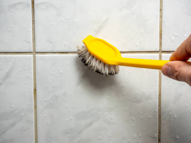 Best Residential Mold Remediation in St Stephens, NC